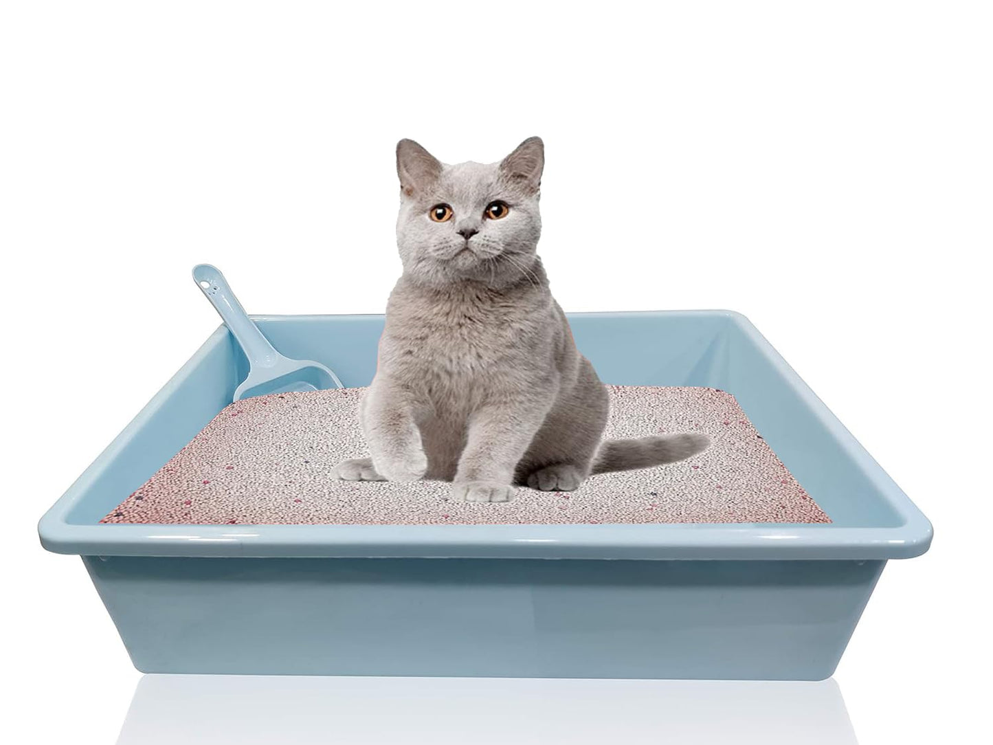 Pets Empire Cat Litter Tray with Free Scoop (14 x 10.5 Inch)