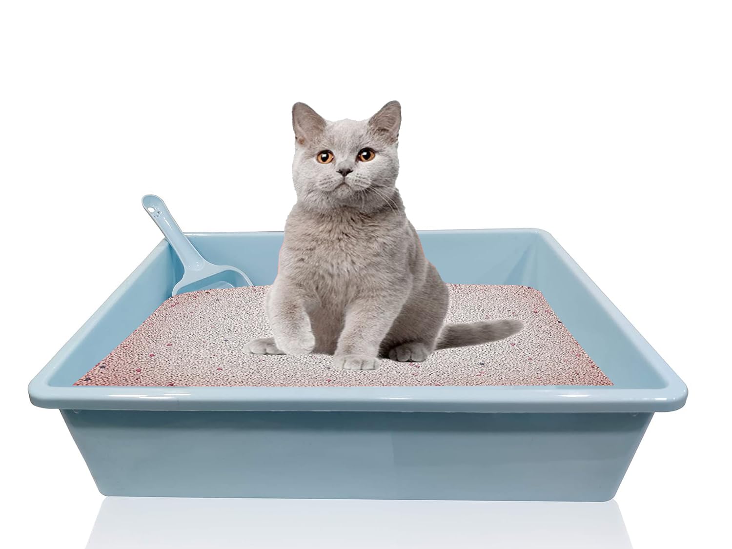 Pets Empire Cat Litter Tray with Free Scoop (14 x 10.5 Inch) Color May Vary