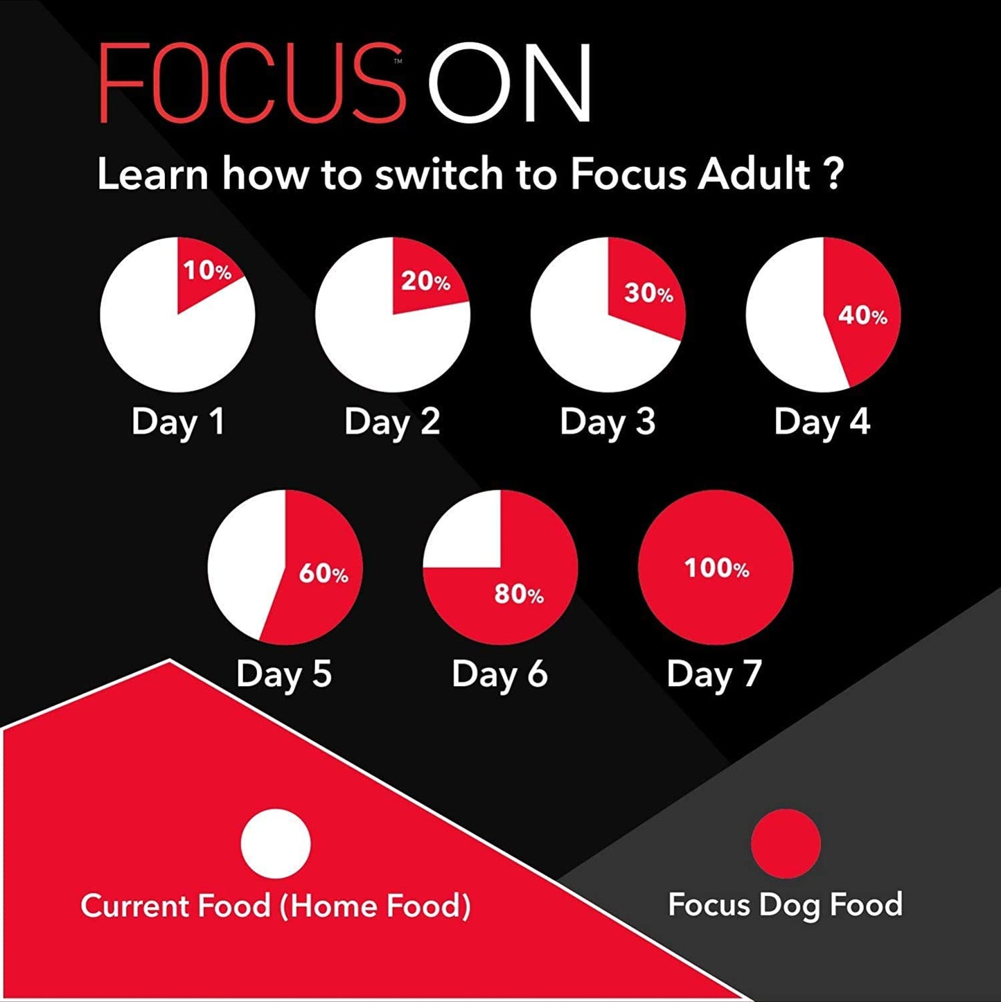 Drools Focus Adult Super Premium Dry Dog Food
