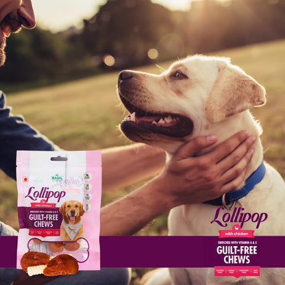 Gluten-Free Treats & Chews Lollipop for Dogs (Pack of 2)