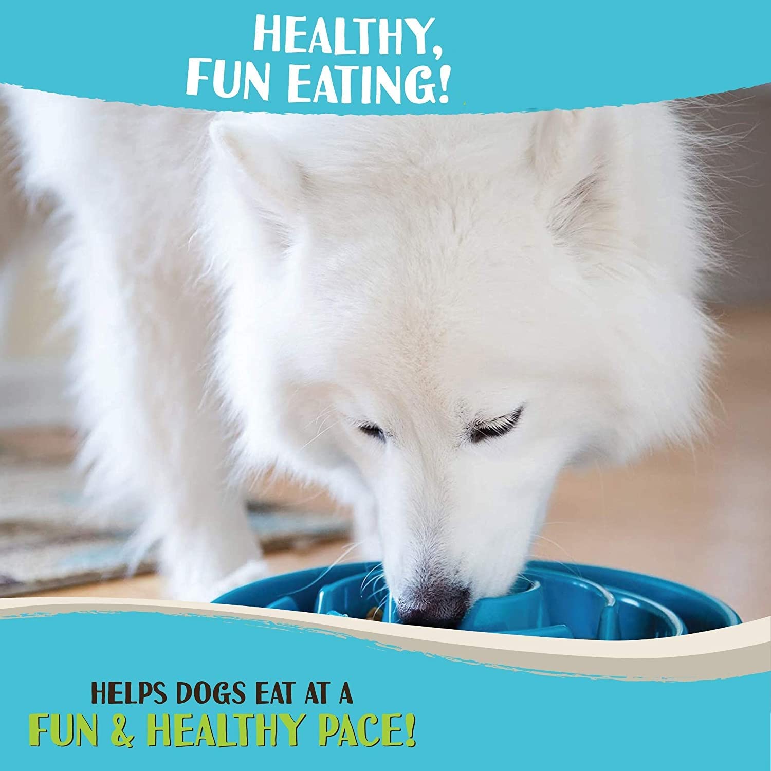 Pets Empire Slow Feeder Dog Bowl- Colour may vary