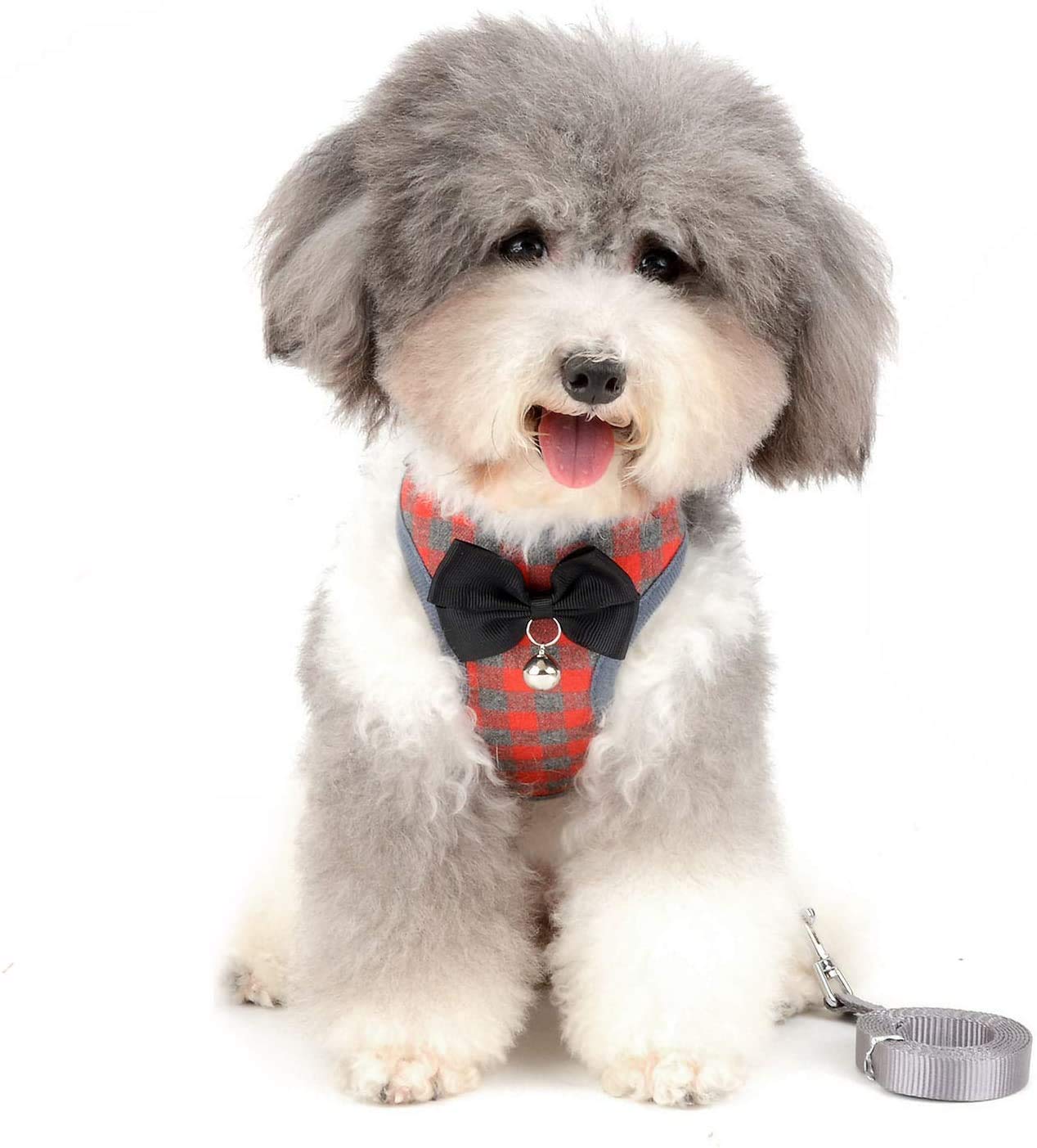 Pets Empire No Pull Harness and Leash for Small Breeds