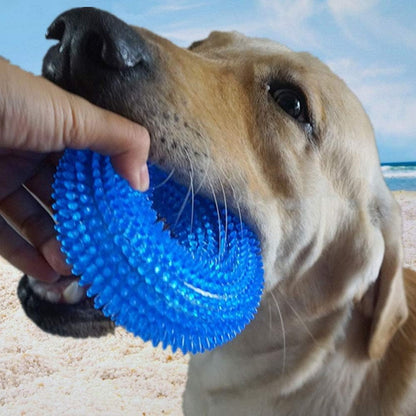 Pets Empire Teeth Training Toy - Ring Shape