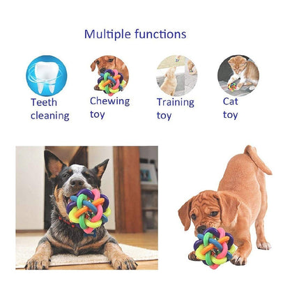 Pets Empire Rainbow Balls for Dogs ( Pack of 2)