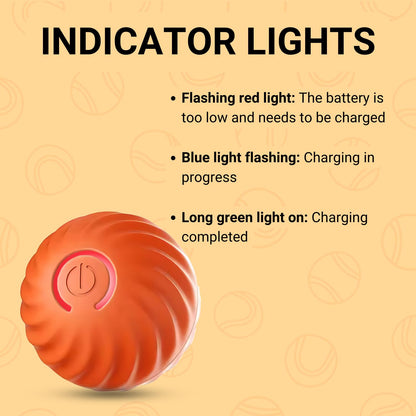Pets Empire Automatic electric intelligent dog cat jumping ball