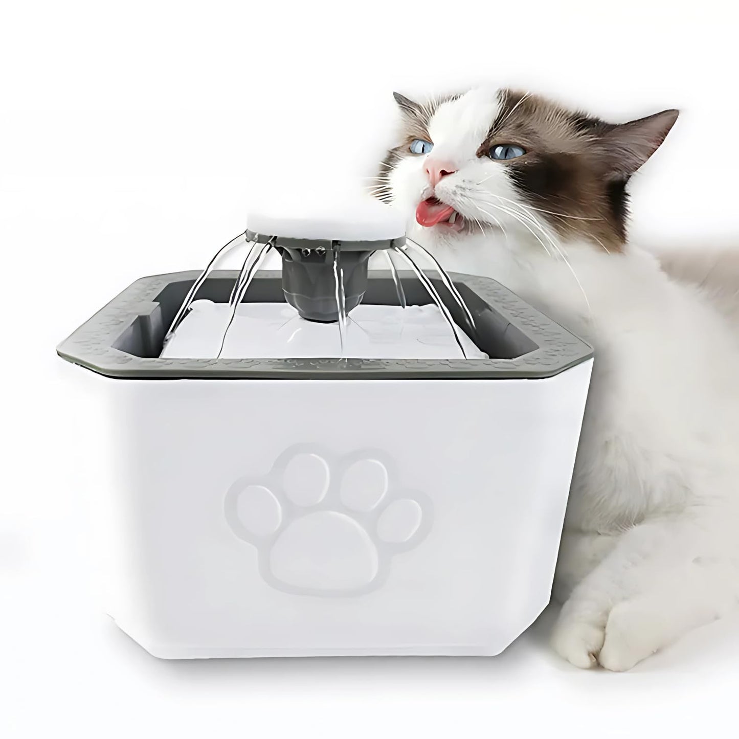 Pets Empire Automatic Water Fountain Pour for Small Dog & Cat's