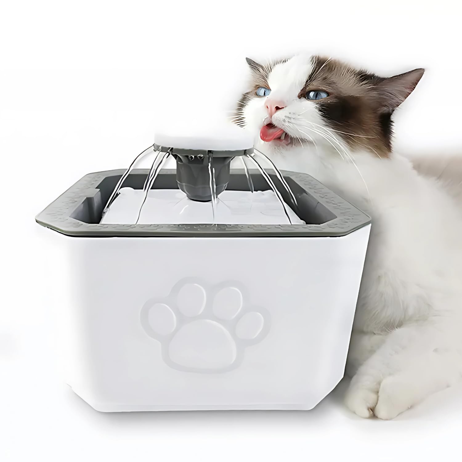 Pets Empire Automatic Water Fountain Pour for Small Dog & Cat's