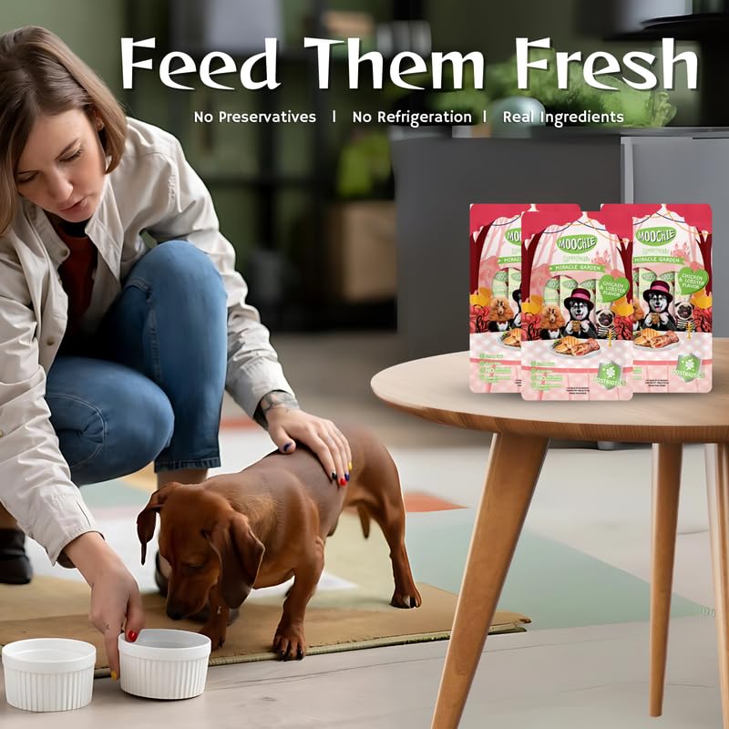 Moochie Creamy Dog Treats – Chicken & Lobster Flavour | Healthy & Tasty Snack