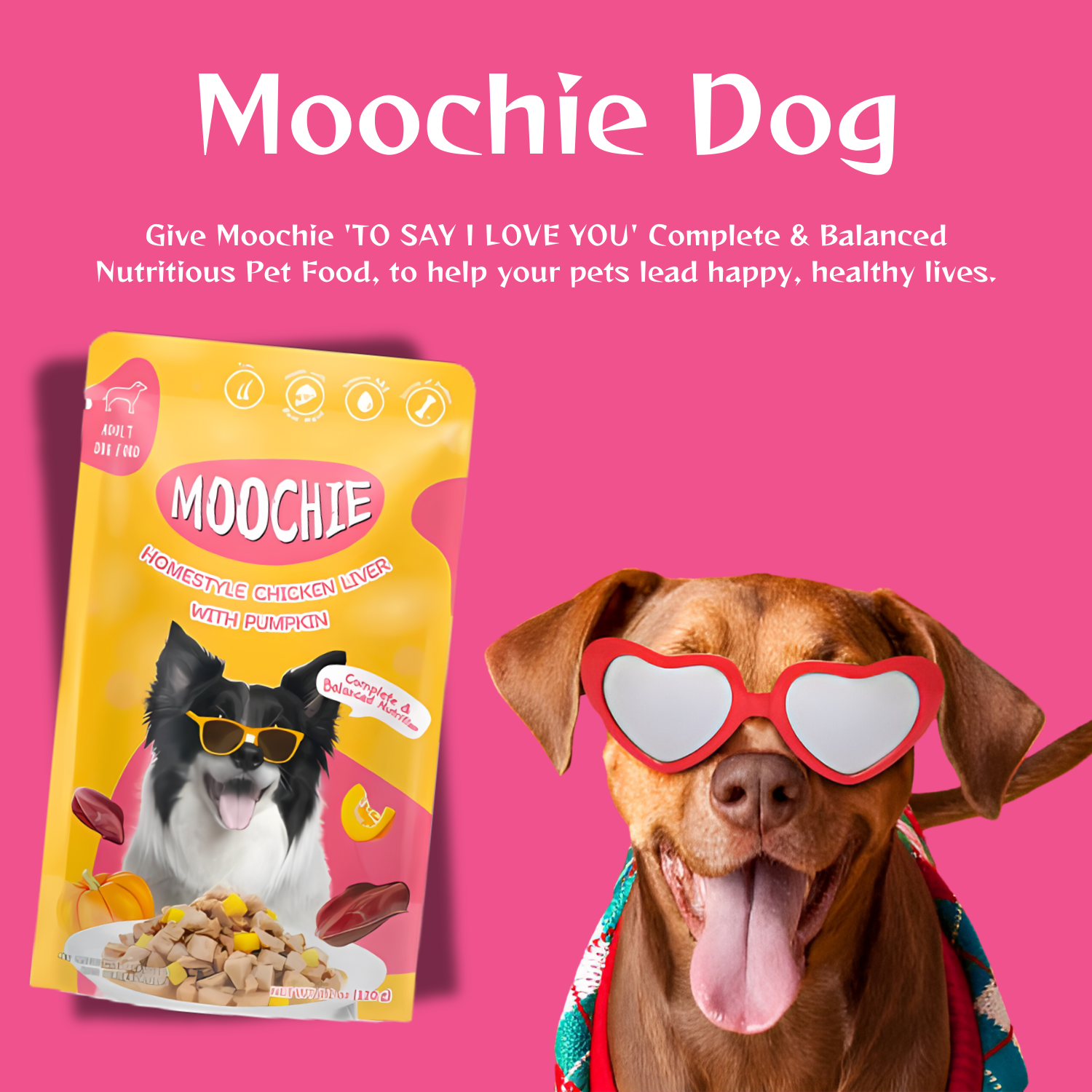 Moochie Chicken Liver & Pumpkin Wet Dog Food – 120g Pouch | Healthy & Nutritious Meal for Dogs