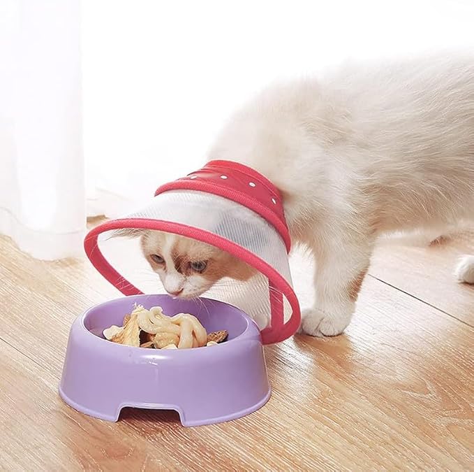 Pets Empire E Collar For Dog & Cat (Red Color)