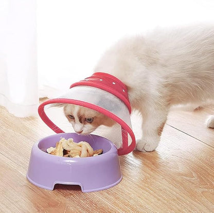 Pets Empire E Collar For Dog & Cat (Red Color)