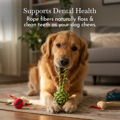 PETS EMPIRE Handle Ball Braided Rope Toy For Dogs