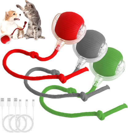 Pets Empire Interactive Smart self Rolling Ball for Cat & Dog Toy