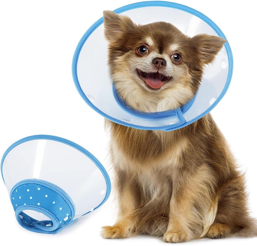 Pets Empire E Collar For Dog & Cat (Blue Color)