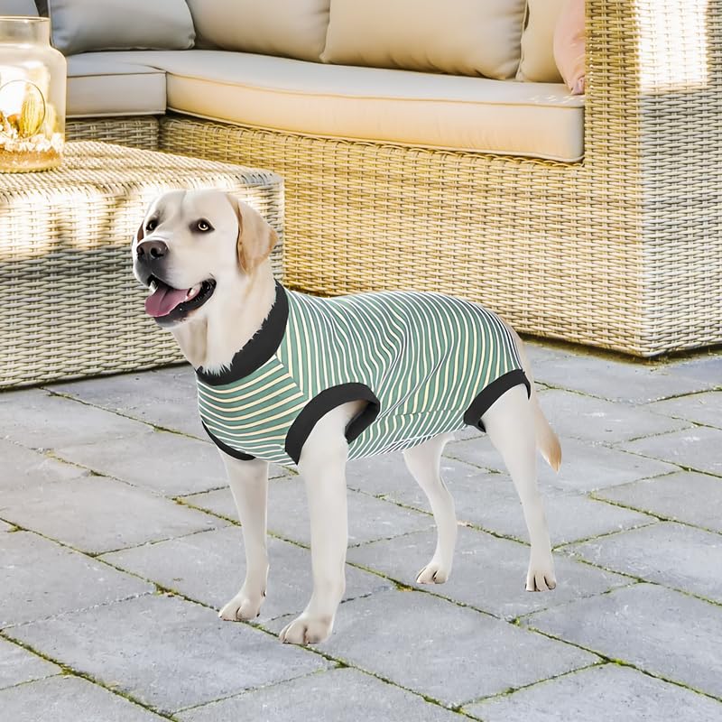 Pets Empire Warm Winter Sweater for All Breeds Dogs-  Green