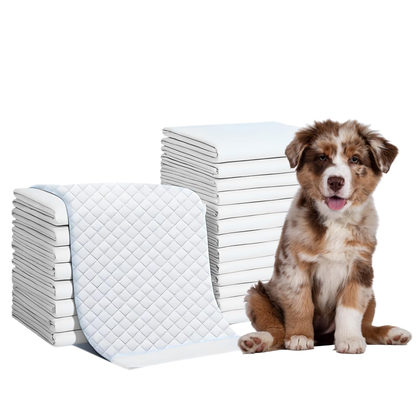 Pets Empire , Super Absorbent & Leak-Proof Pee Pad (23 X 24 Inch)