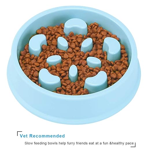 Pets Empire Slow Feeder Plastic Dog Bowl- 1 Peace