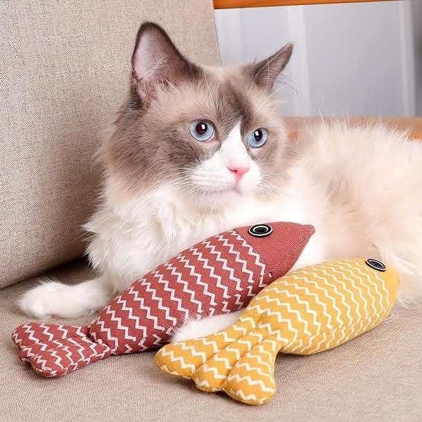Pets Empire Fish Shape Squeaker Toys for Puppies and Adult Dogs (Buy 1 get 1 Free) Color May Vary