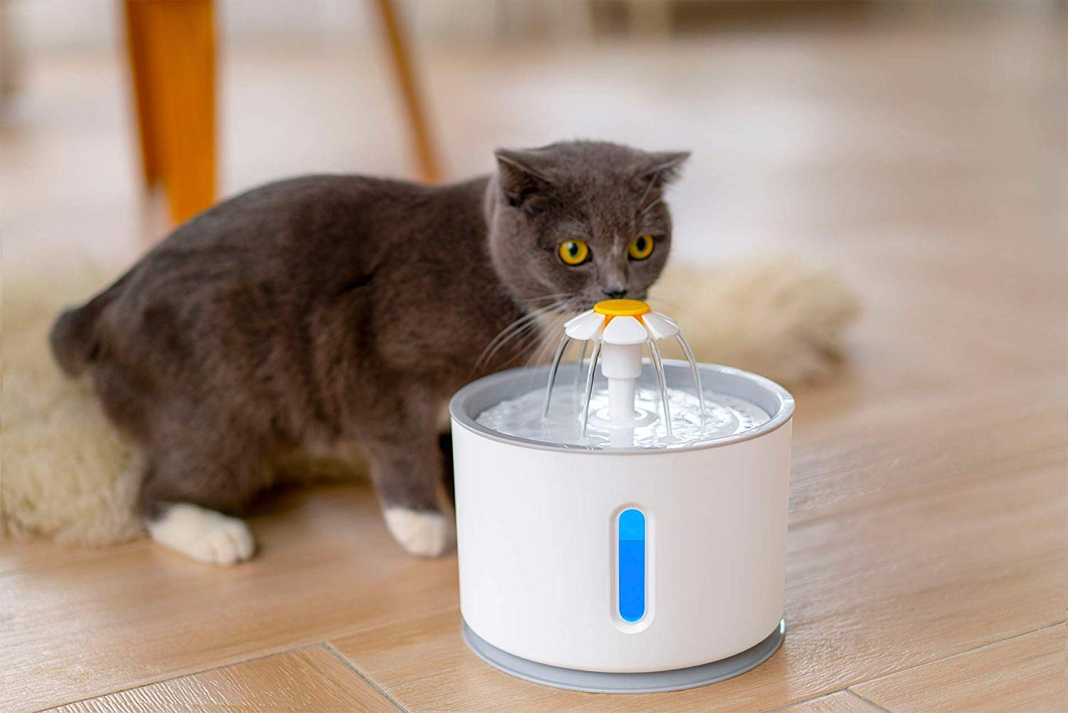 Pets Empire Electric Cat Drinking Water Fountain - 2.4L