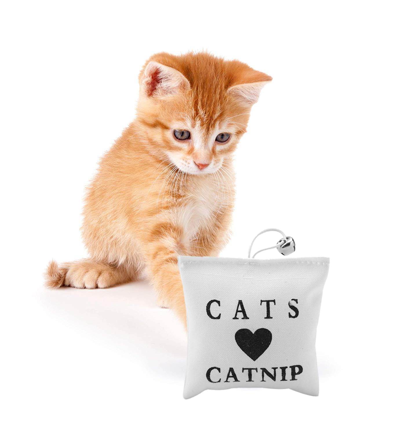 Pets Empire Cats Love Catnip Bag, Toy for Cats and Kitten (Pack of 2)