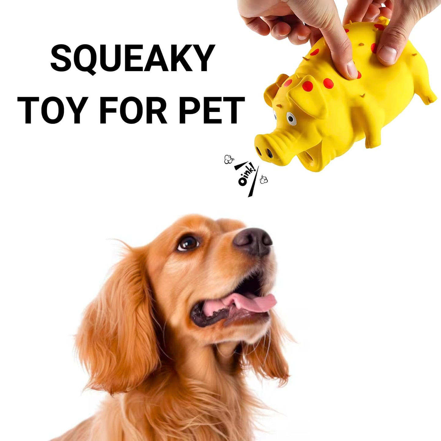 PETS EMPIRE Squeak Dog Toy for X-Large Breeds Dog (Multi-Pack of 10)