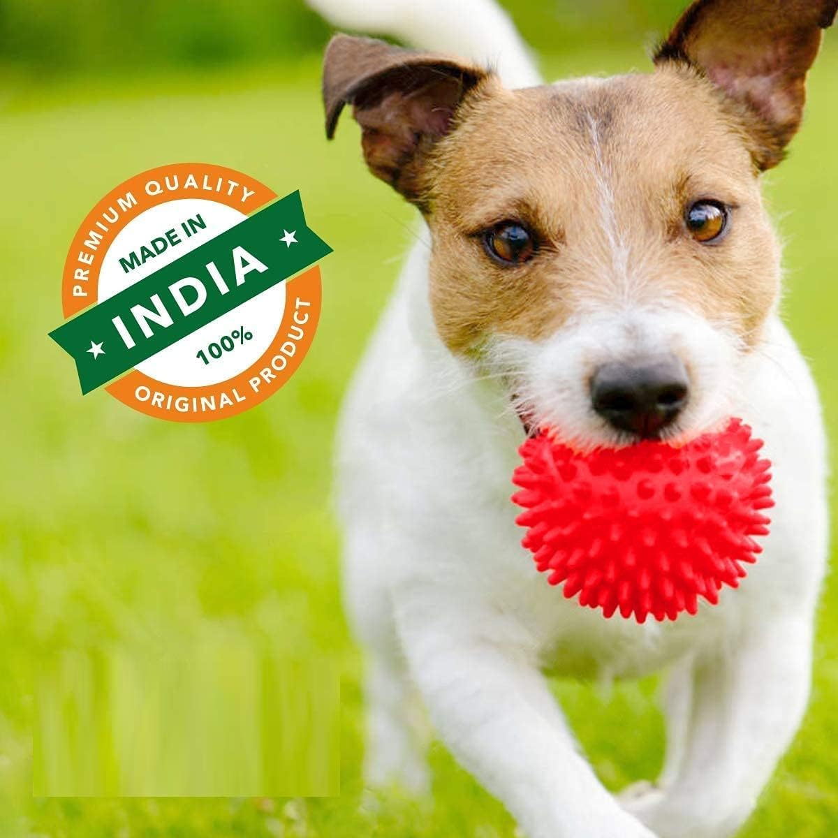 Pets Empire Spike Ball for Dogs - Pack of 2