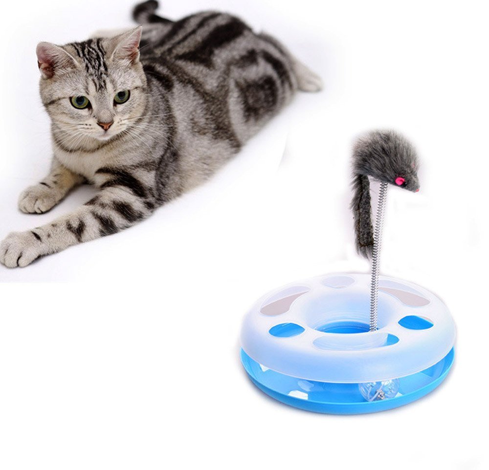 Pets Empire Catch The Mouse Motion Cat Toy