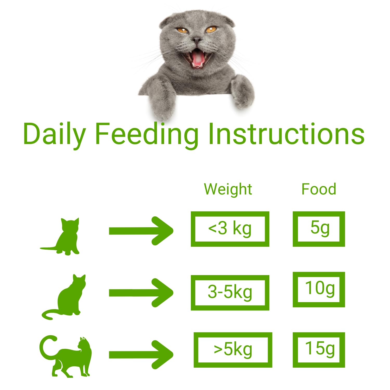 O'cat Dental & Training Cat Treats for All Life Stages of Cat (Salmon & Chicken) 2 Pouches (2 x 50g)