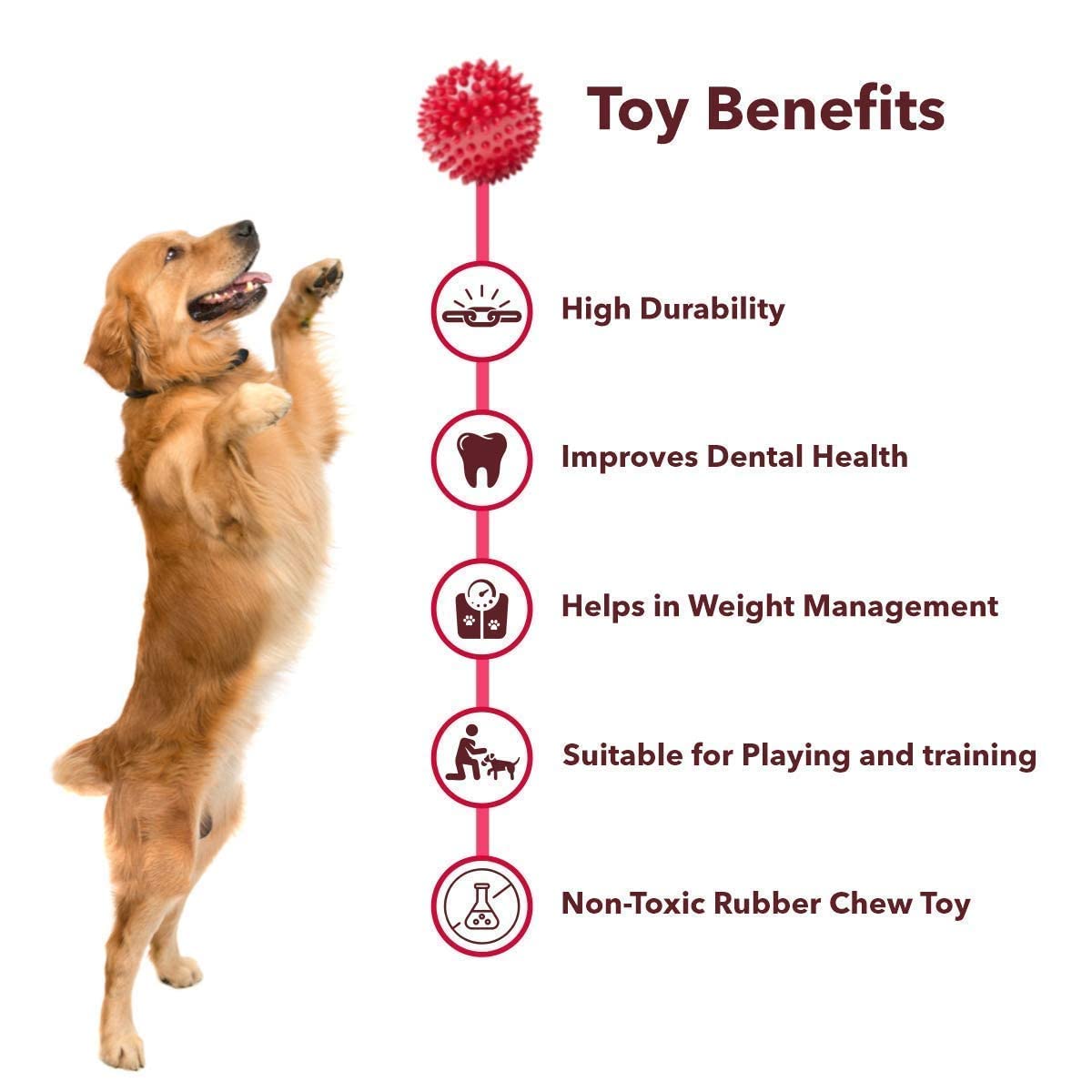 Pets Empire Spike Ball for Dogs - Pack of 2