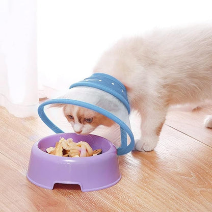 Pets Empire E Collar For Dog & Cat (Blue Color)