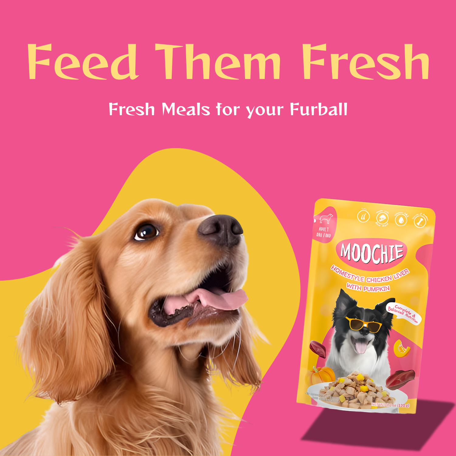 Moochie Chicken Liver & Pumpkin Wet Dog Food – 120g Pouch | Healthy & Nutritious Meal for Dogs