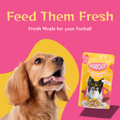 Moochie Wet Dog Food HomeStyle with Chicken Liver & Pumpkin (120g)
