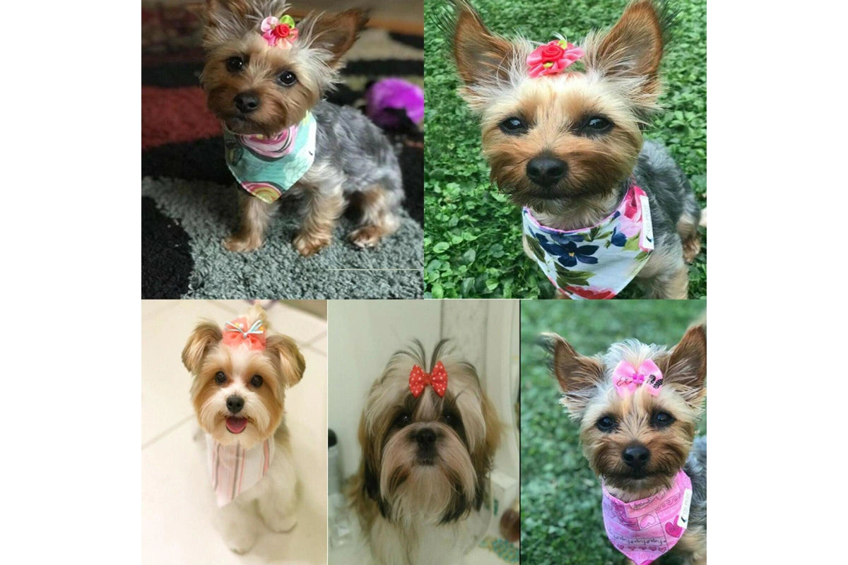 Pets Empire Mixed Hair Bows Rubbers for Cat/Puppy