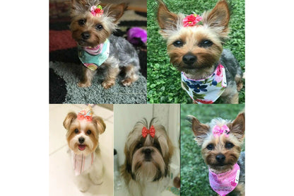 Pets Empire Mixed Hair Bows Rubbers for Cat/Puppy