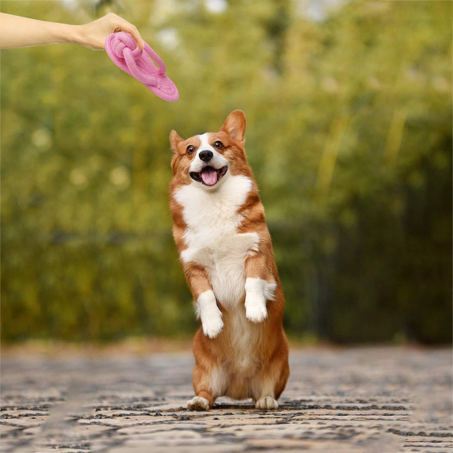 Pets Empire Slipper Chew Rope Toy - Pack of 2