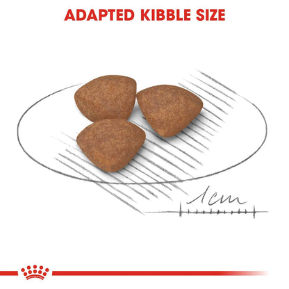 ROYAL CANIN MINI PUPPY DRY FOOD