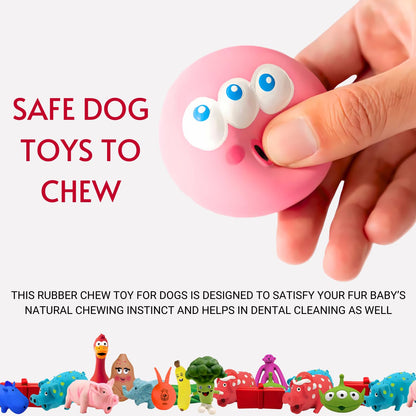 PETS EMPIRE Squeak Dog Toy for X-Large Breeds Dog (Multi-Pack of 10)