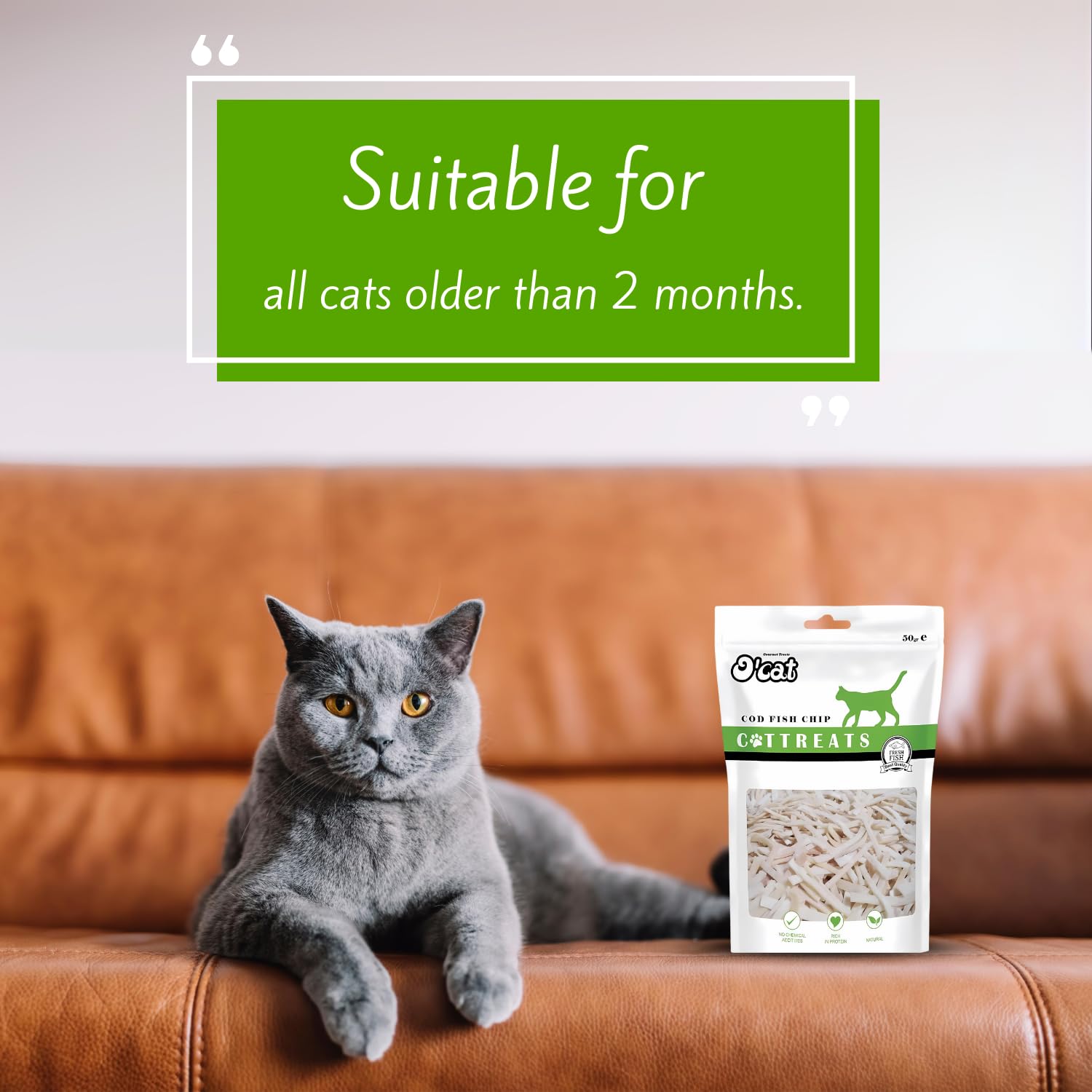 O'cat Dental & Training Cat Treats  (CodFish Chip) Pack of 2 x 50g