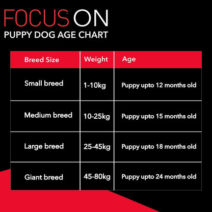 Drools Focus Premium Puppy Dry Dog Food, Chicken Flavor