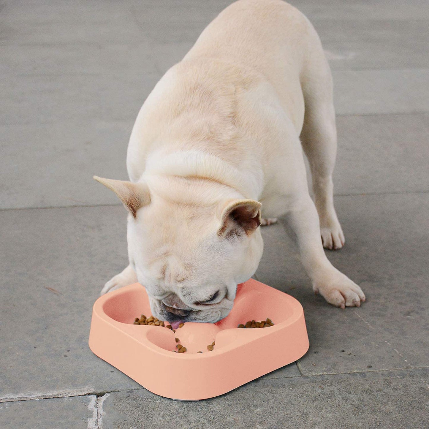Pets Empire Healthy Slow Feeding Dog Bowl for French Bulldog( Colour May Vary)