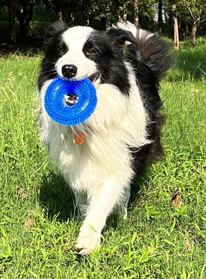 Pets Empire Teeth Training Toy - Ring Shape