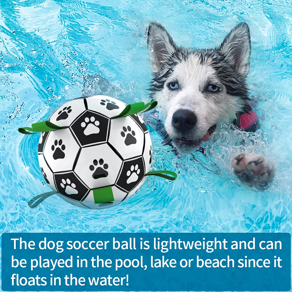 PETS EMPIRE Football Toy for Dogs