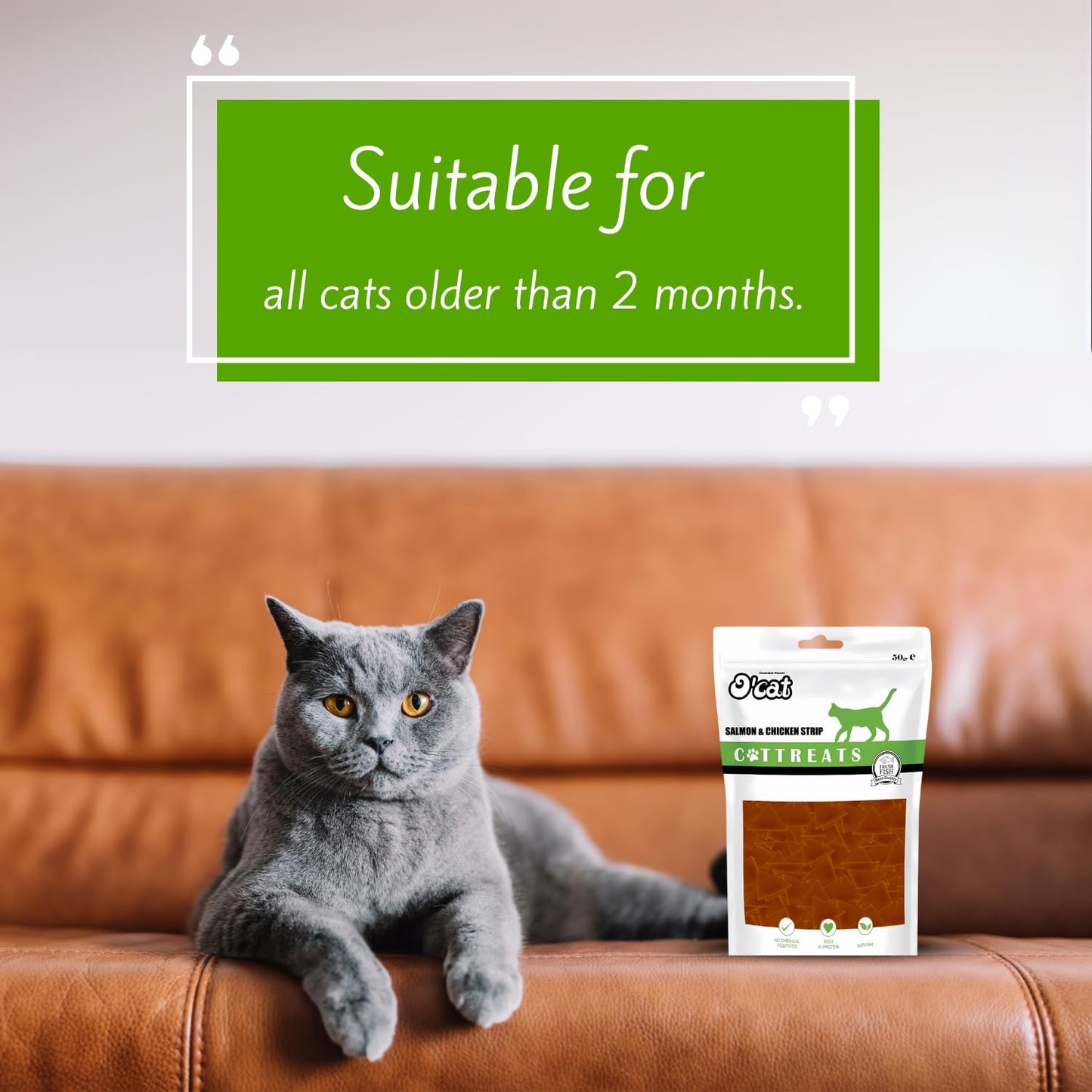 O'cat Dental & Training Cat Treats for All Life Stages of Cat (Salmon & Chicken) 2 Pouches (2 x 50g)