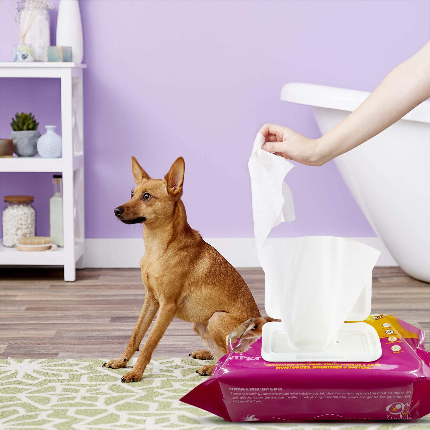 Pets Empire Paw Care Kit for Dogs - Neem Flavour