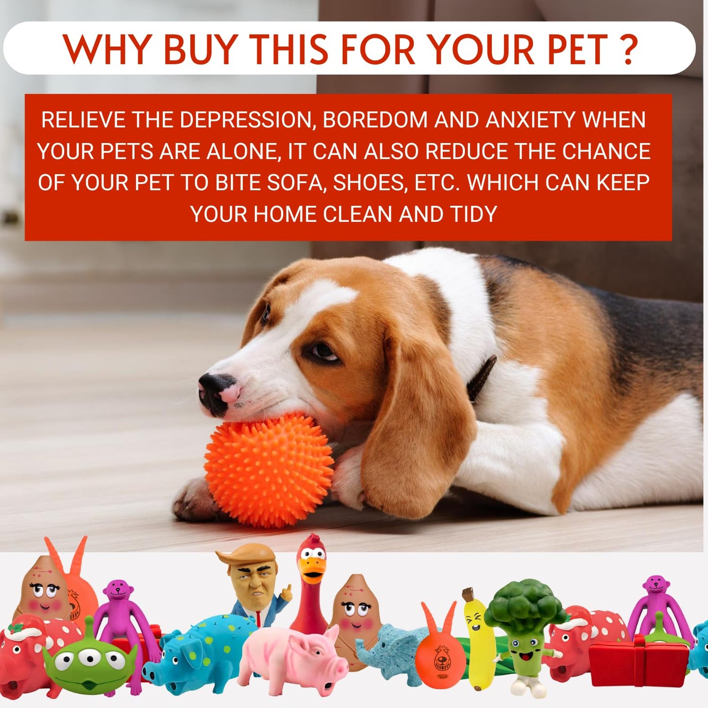 PETS EMPIRE Squeak Dog Toy for Small Breeds Dog (Multi-Pack of 5)