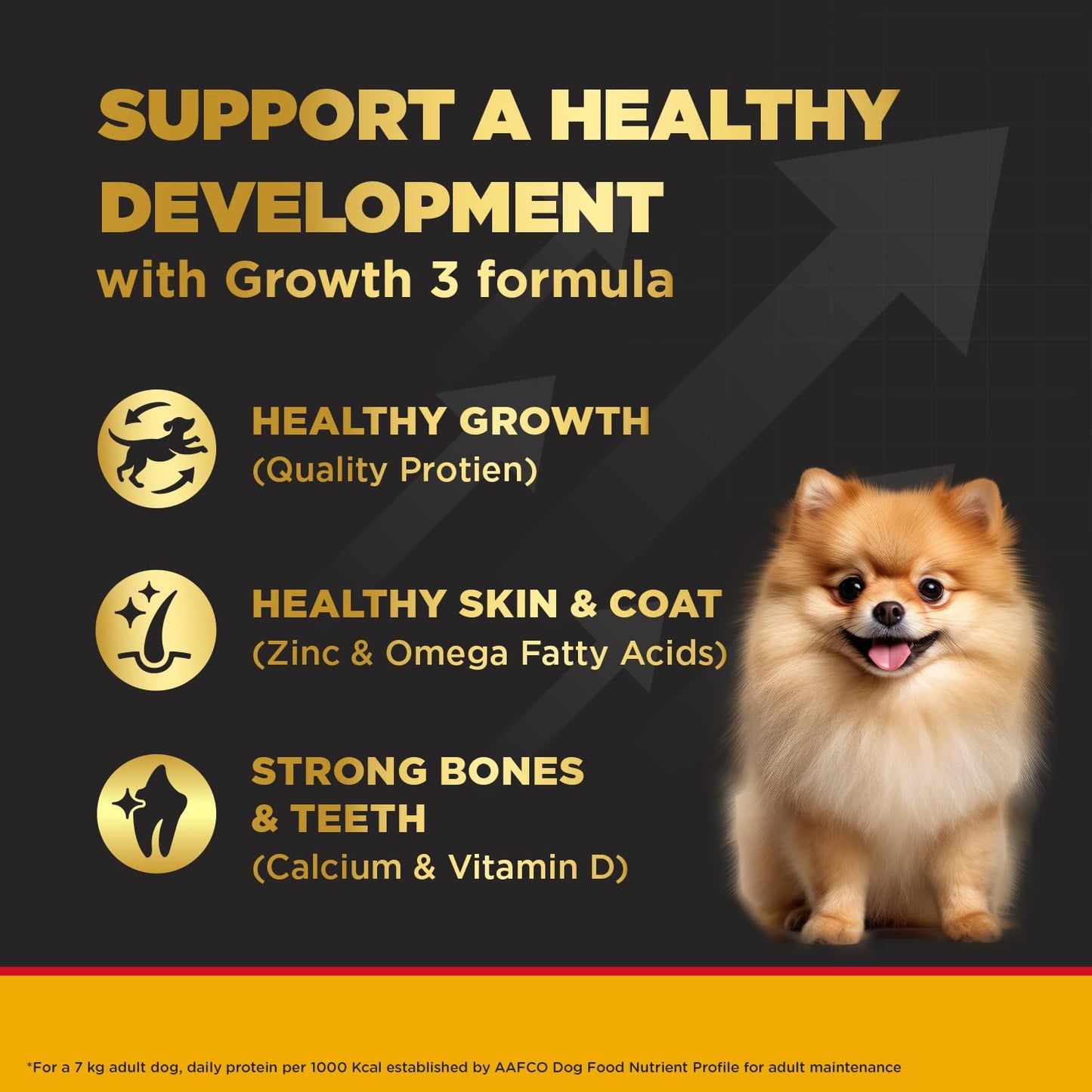 PEDIGREE PRO PUPPY SMALL BREED (2 to 9 Months) 3kg