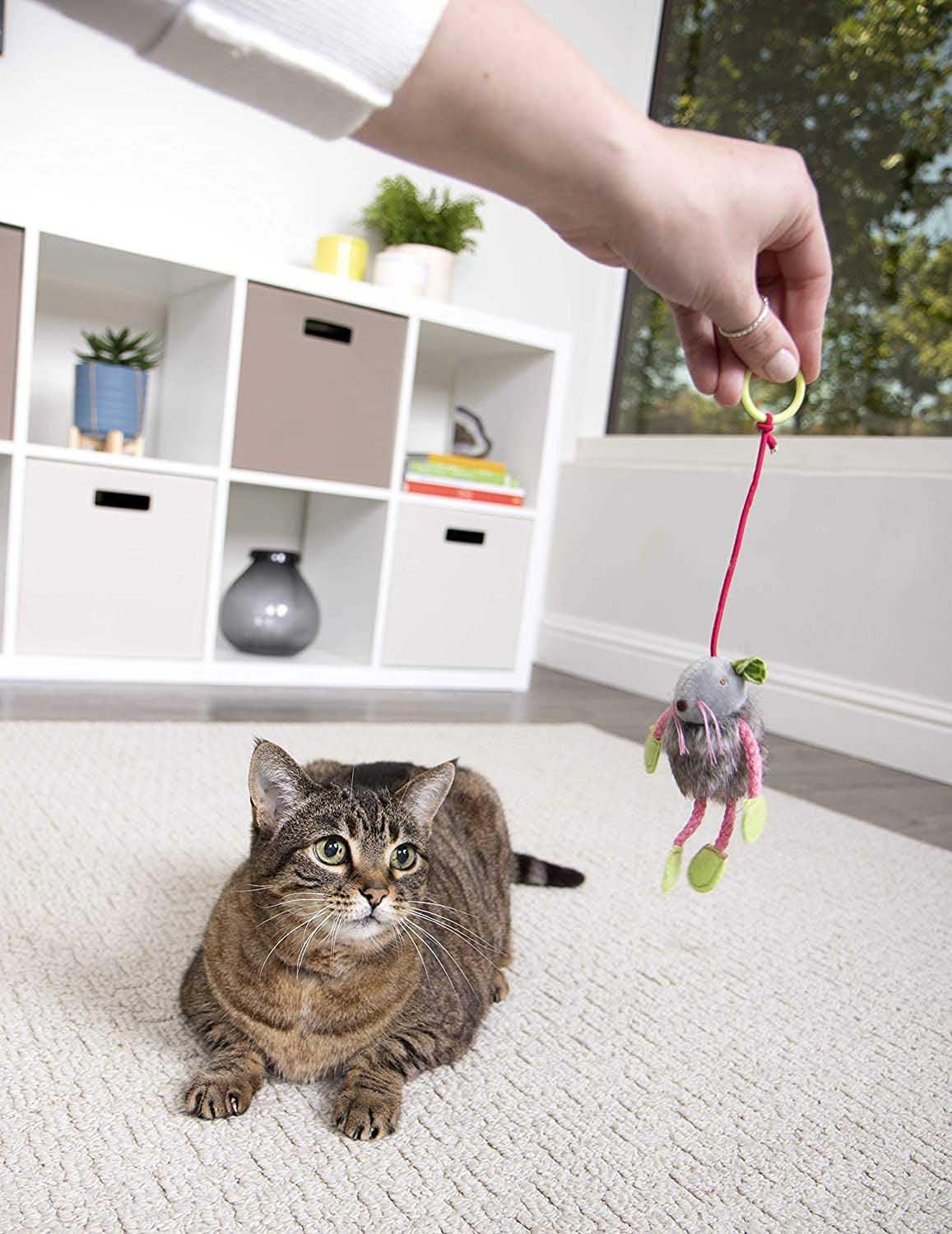 Pets Empire  Bouncing Mouse Cat Toy (Pack Of 2)
