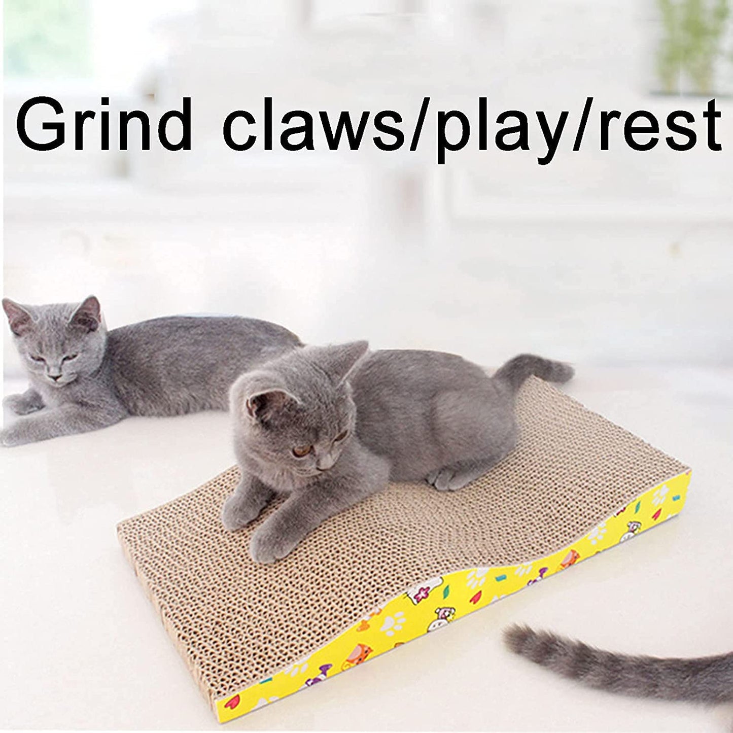 Pets Empire Scratch Board with a Curved Wave Design