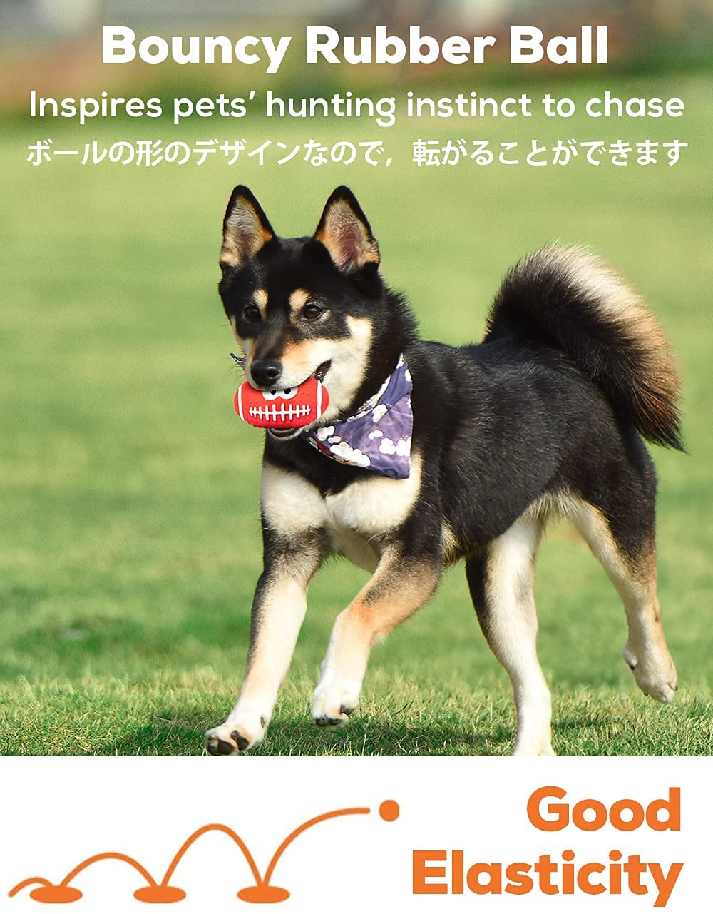 Pets Empire Balls for For Puppy Dogs (Any 2 pc)