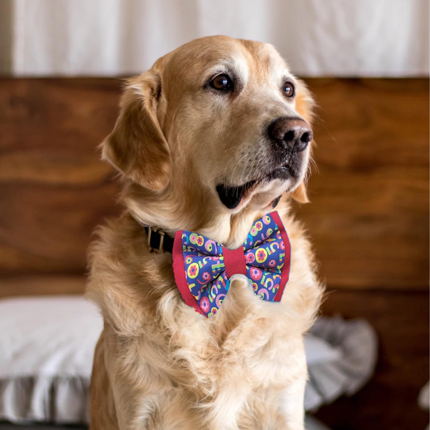 Pets Empire Dog & Cat Double Bow Tie
